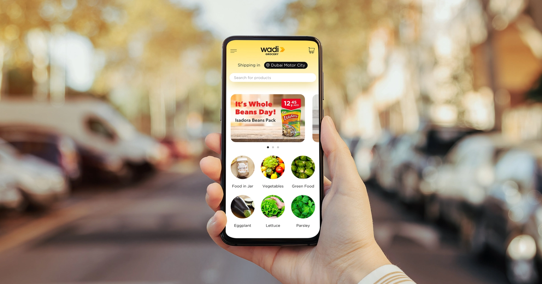 Wadi Grocery hero